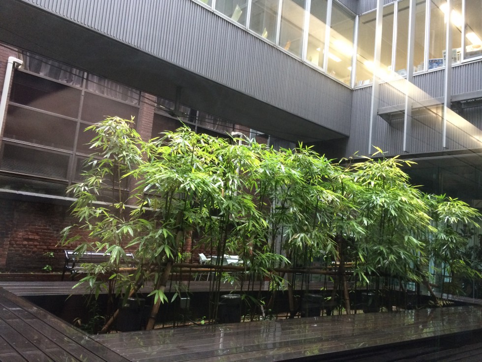 城西国際大学 紀尾井町 写真 2015-04-11 8 58 16