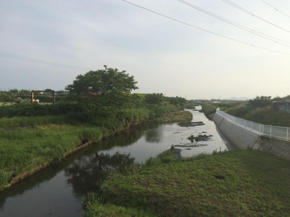 よく氾濫する小出川 茅ヶ崎と寒川の境から